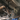 Screenshot from 2025-01-15 11-10-11